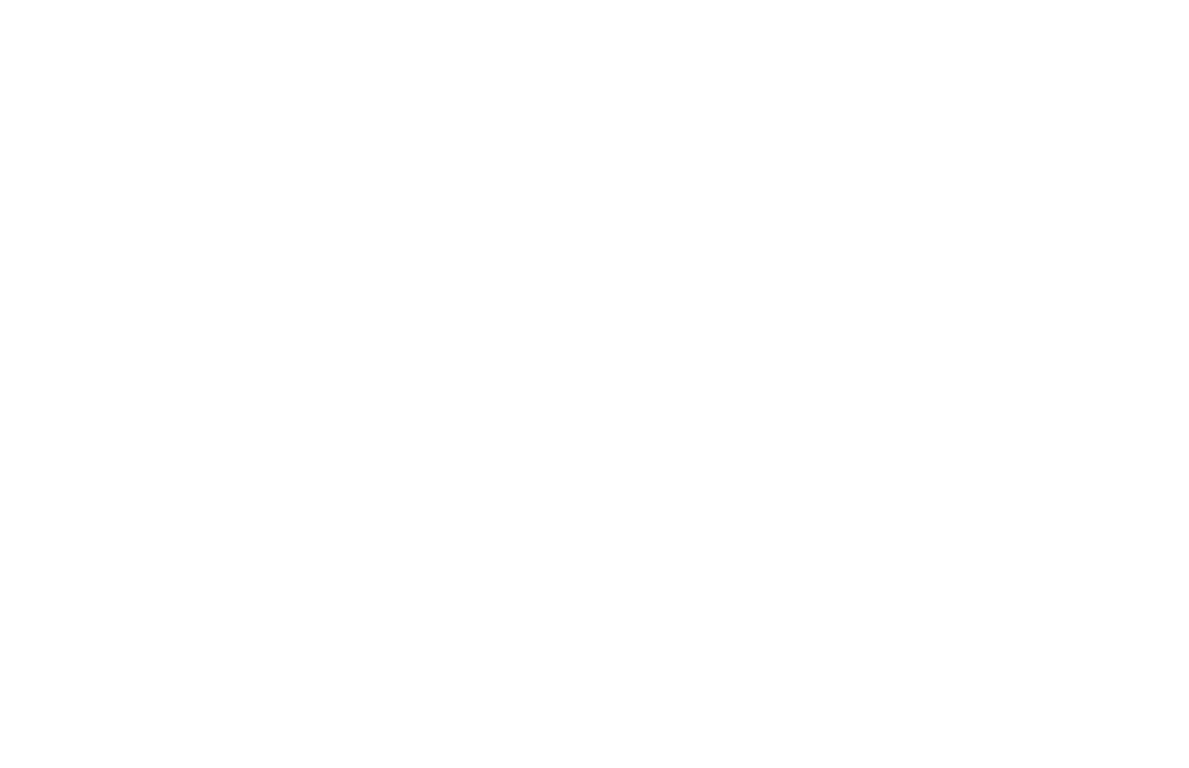 wholespire logo in white